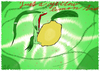 Jearynen: Just a yellow lemon tree!!